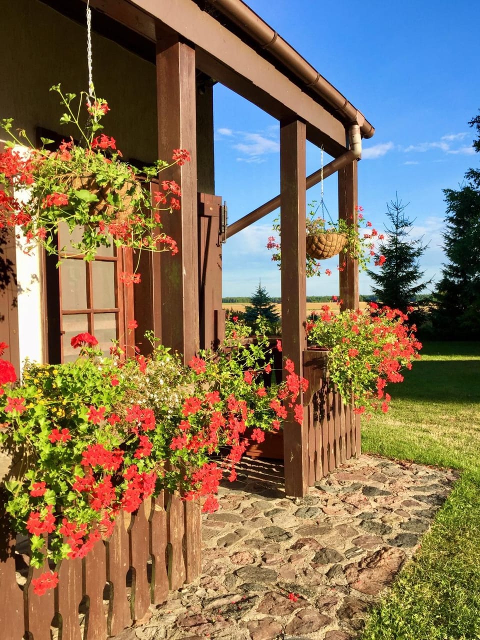 Miętkie Pole House in Poland