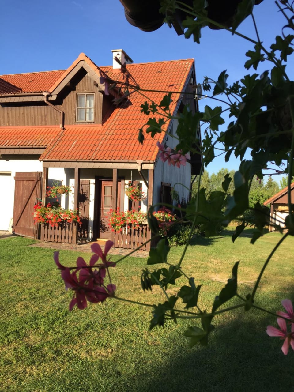 Miętkie Pole House in Poland