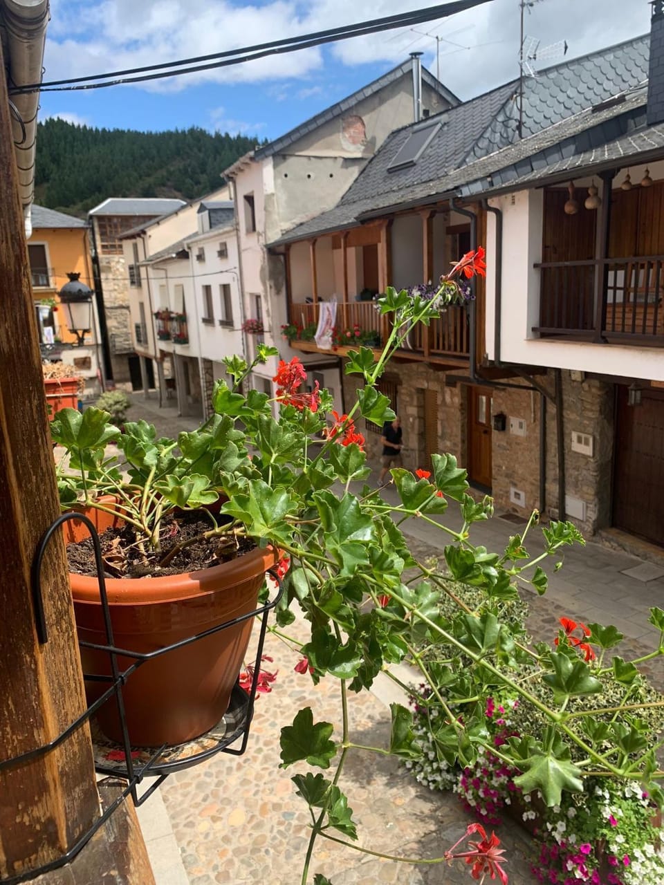Neighbourhood