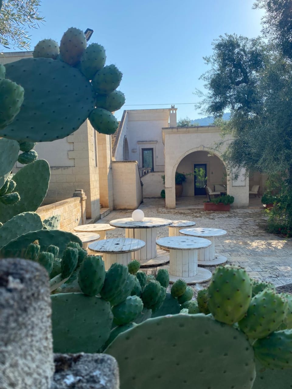 Garden view