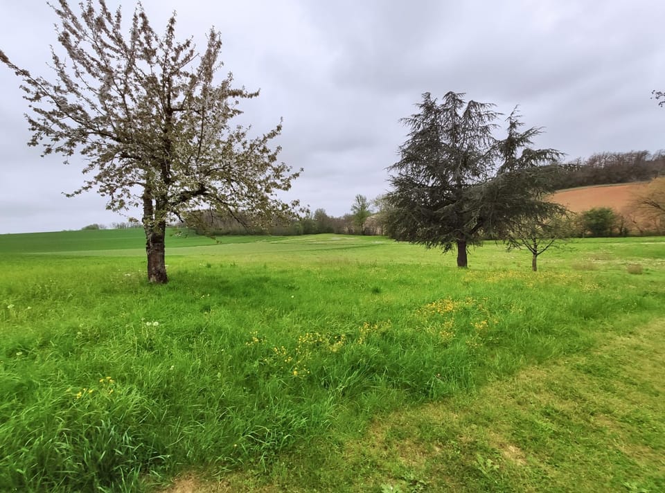 Natural landscape