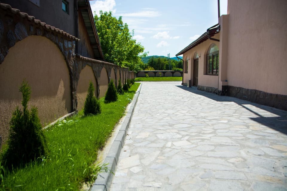 CASA ALEX SI ALEXIA Bed and Breakfast in Romania