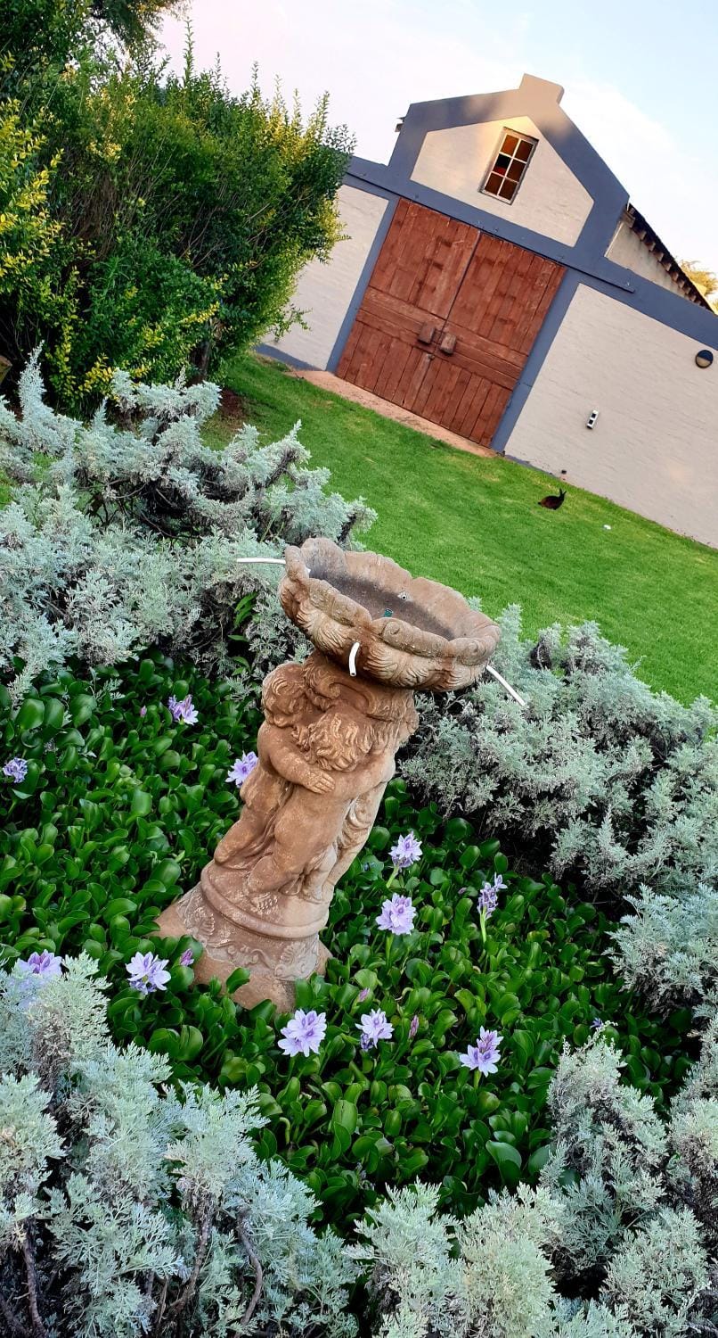 Property building, Garden view