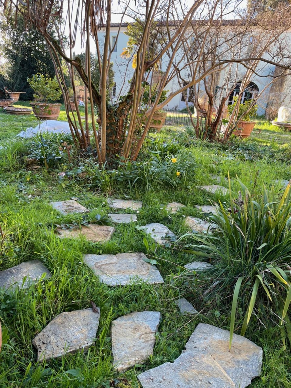 Property building, Natural landscape, Garden, Garden view