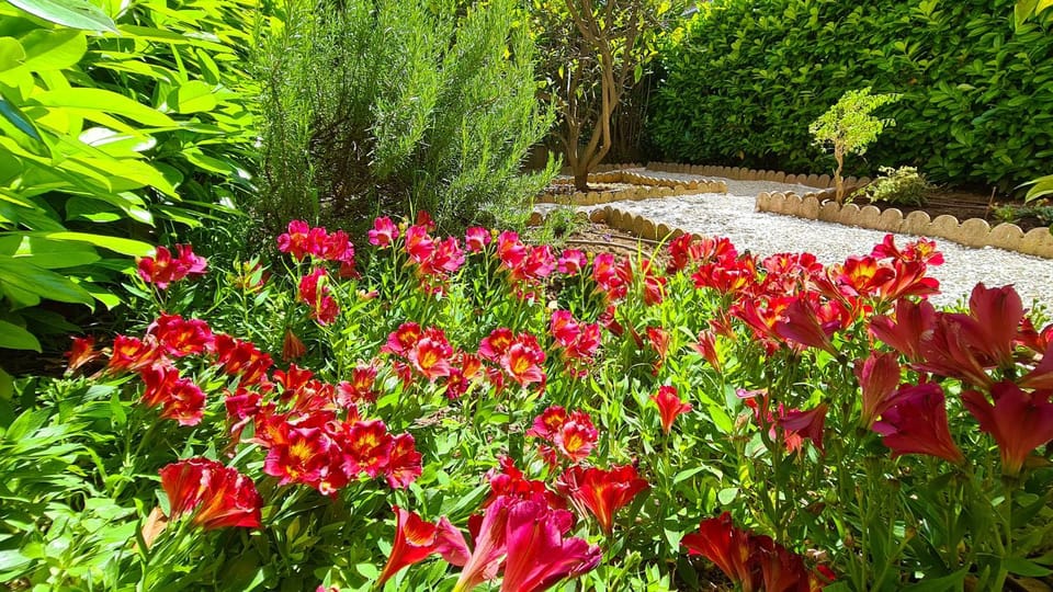Patio, Garden