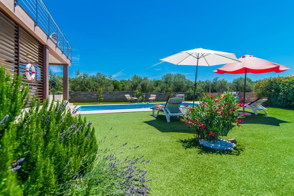 Patio, Garden, Garden view