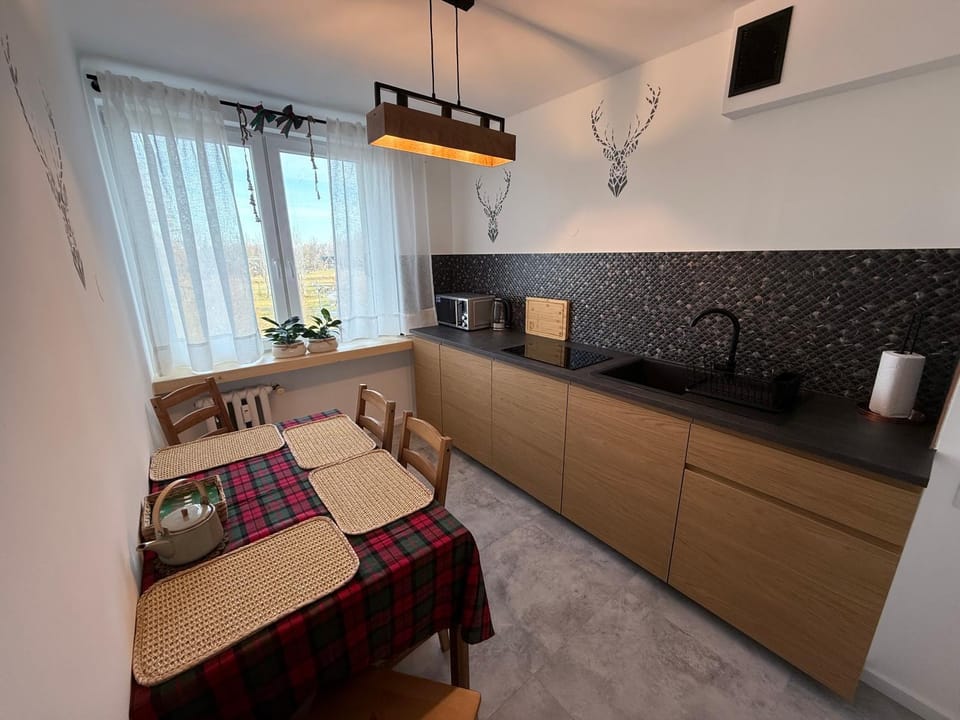 Kitchen or kitchenette, Dining area, stove