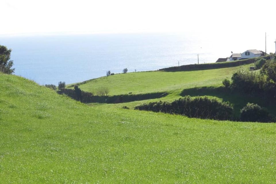 Casa J Dias House in Azores District