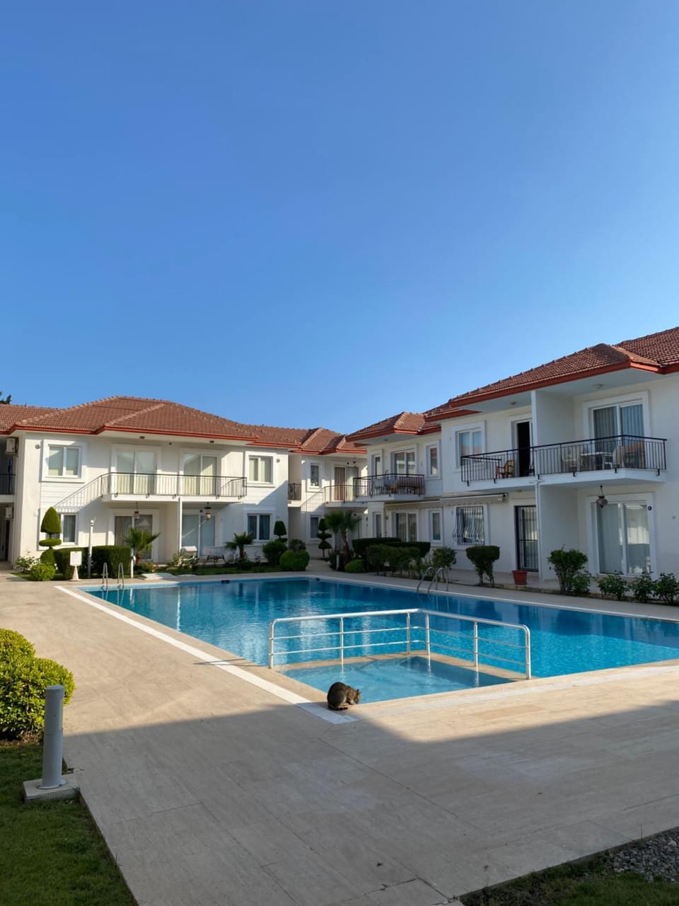 Property building, Swimming pool