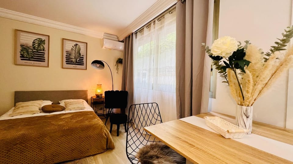 LE MIRAMAR Nice - Clim, Parking, Wifi et piscine Apartment in Nice