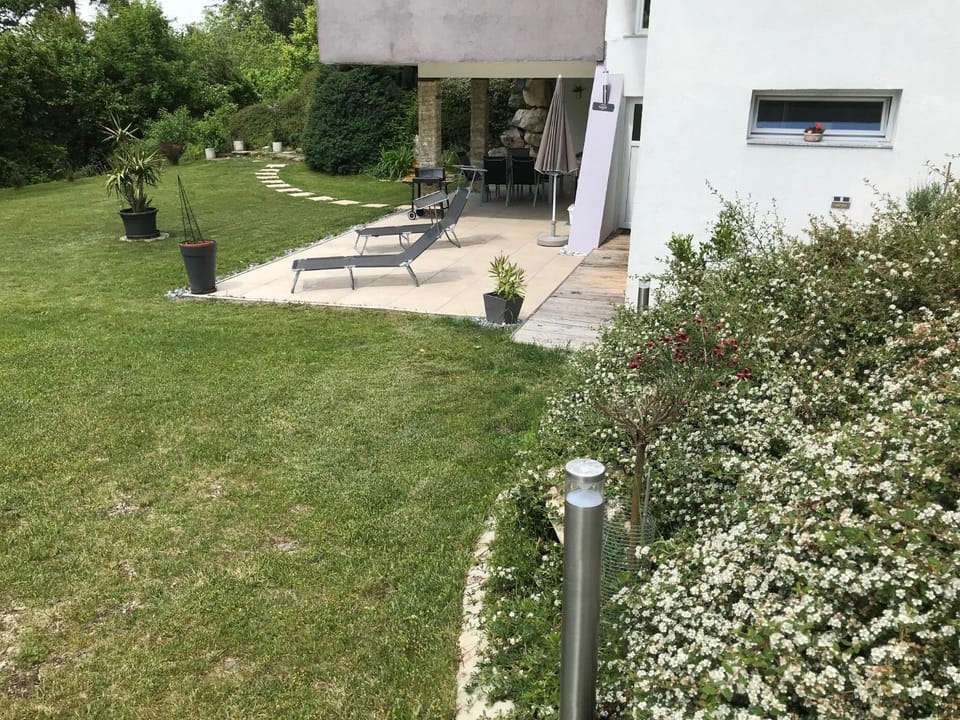 Property building, Garden, Garden view