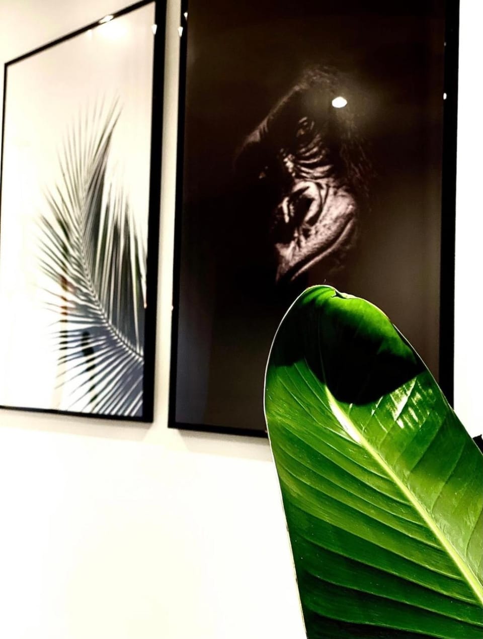Jungle garage privé netflix Apartment in Saint-Étienne