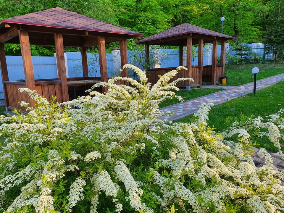 Spring, Day, Natural landscape, Garden, Garden, Garden view