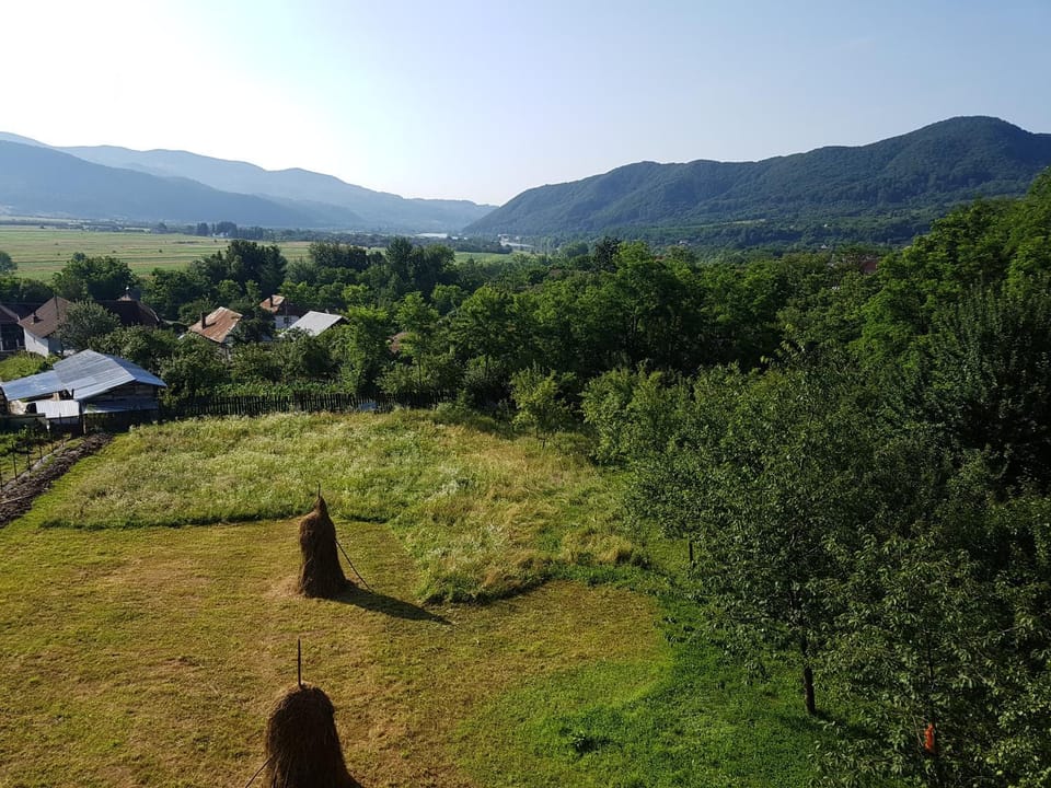 Pensiunea Adeluta Apartament Apartment in Romania