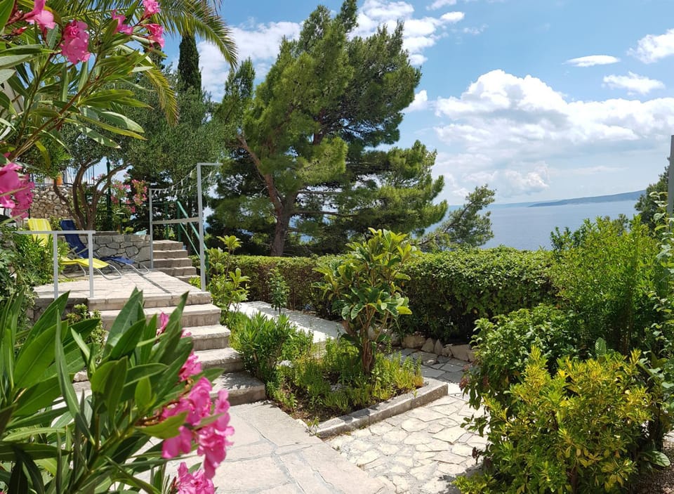 Natural landscape, Garden, Garden view, Sea view