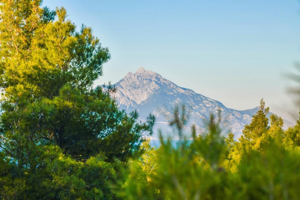 Mountain view
