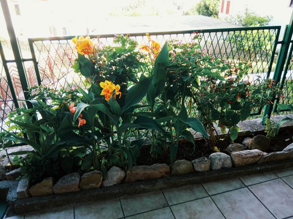 Vila Umicevic Bed and Breakfast in Kotor Municipality