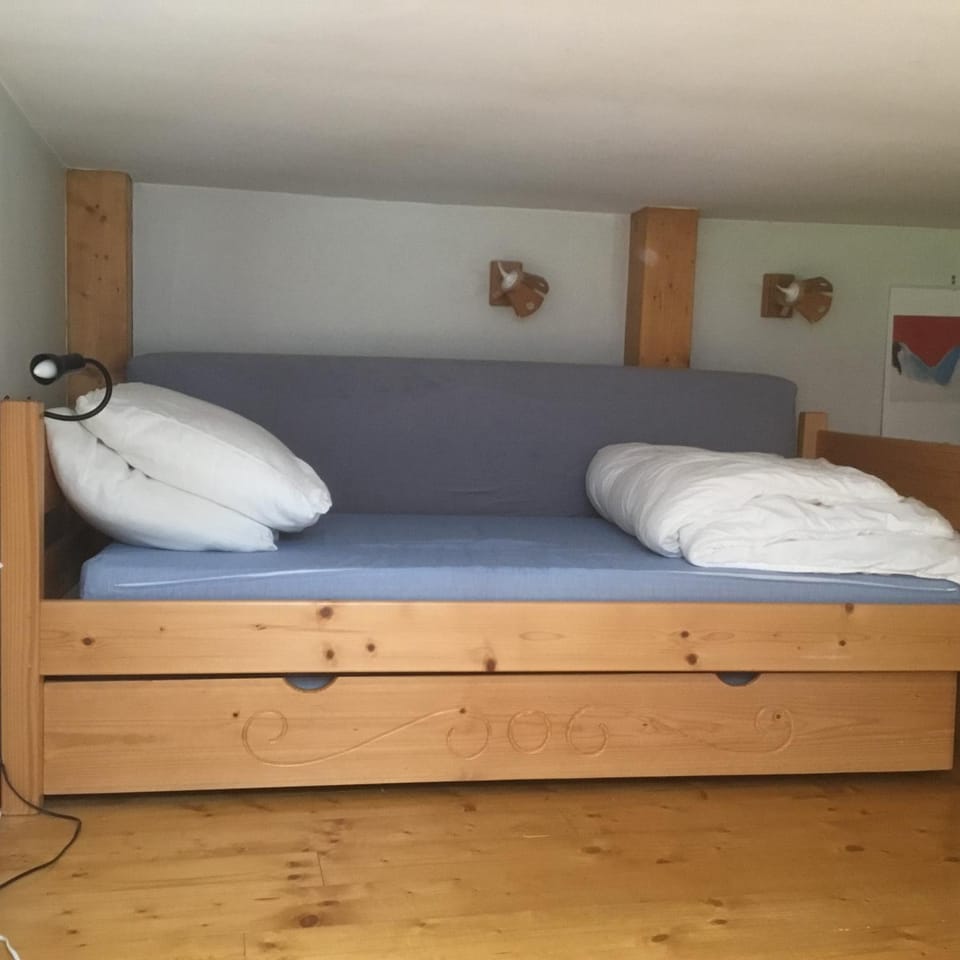 Appartement typique,chaleureux et pratique Apartment in Chamonix