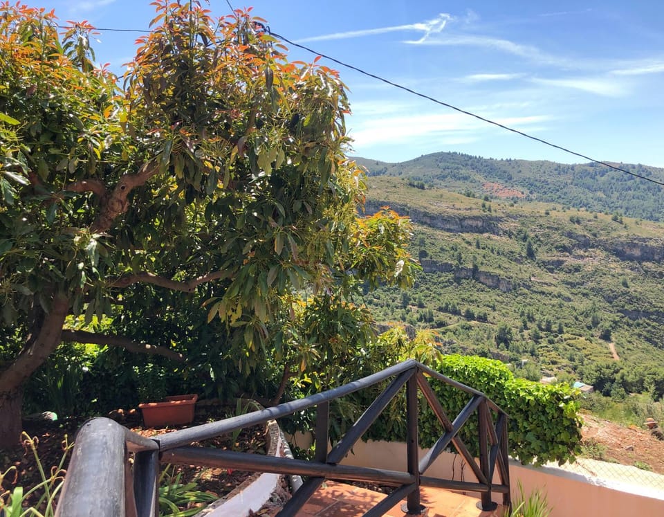 Garden view, Mountain view