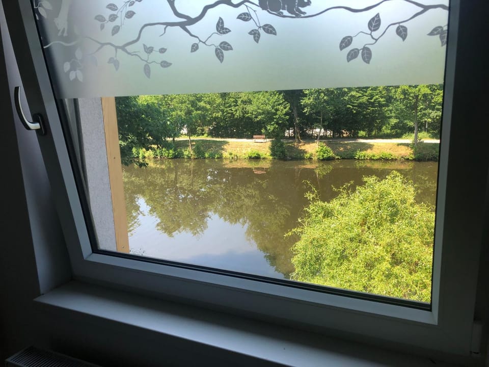 Lake view