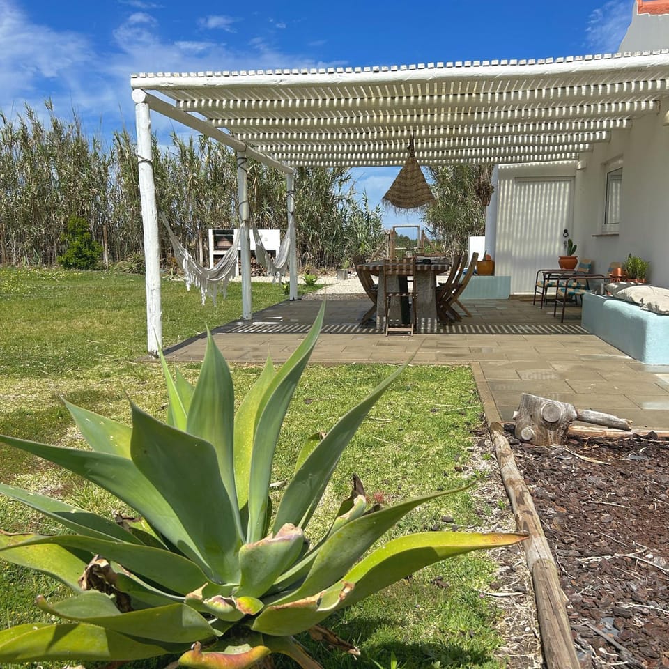 Spring, Garden, Garden view