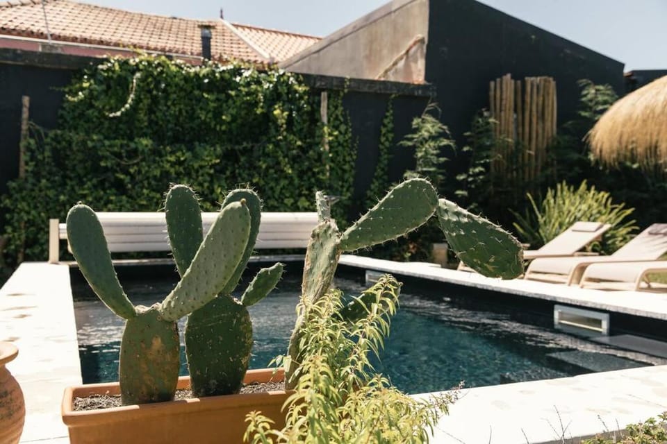 Day, Garden, Pool view, Swimming pool, sunbed