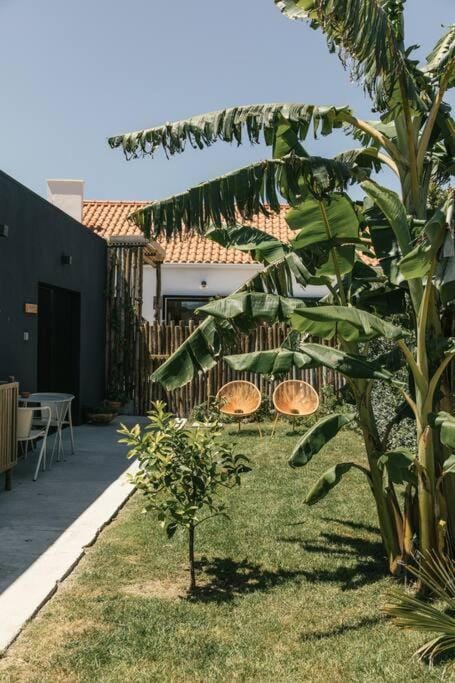 Spring, Garden, Garden view