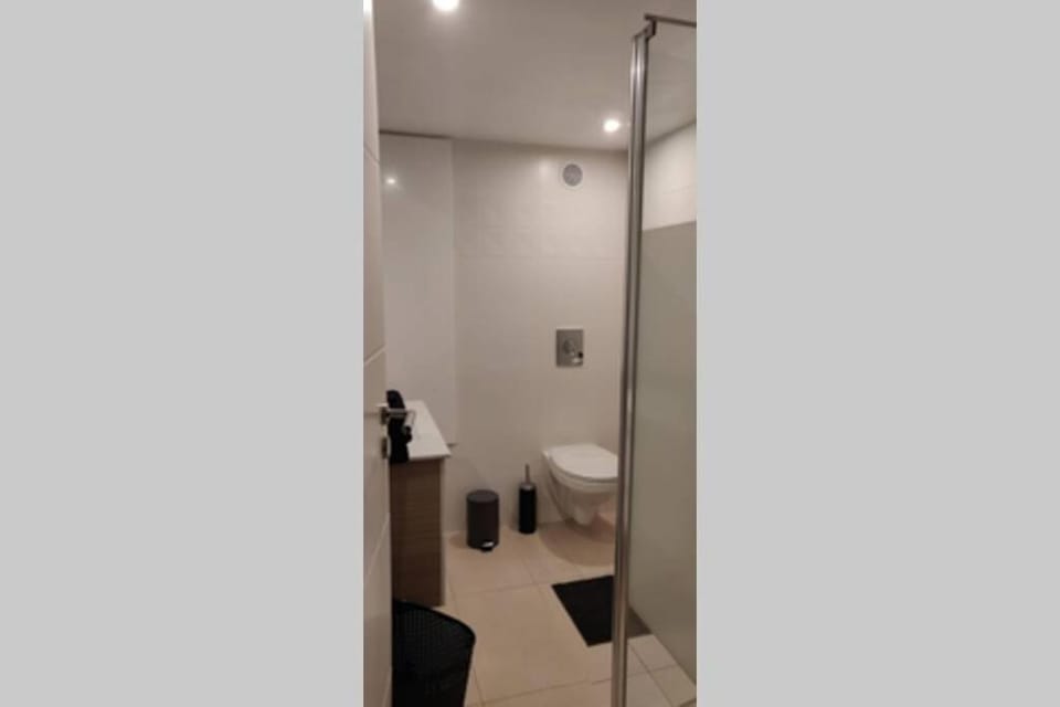 L'Estrade, appartement de standing en hyper-centre Apartment in Sarreguemines