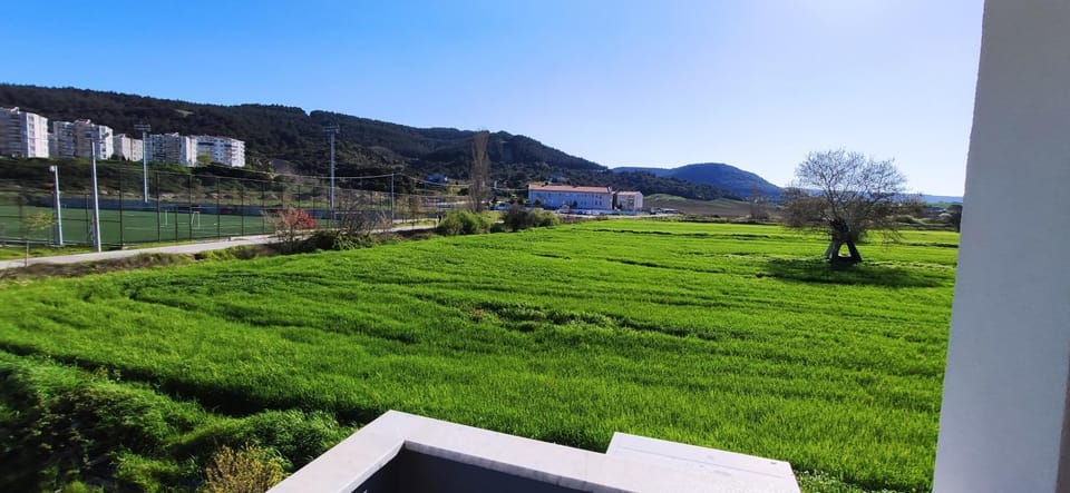 Spring, Natural landscape