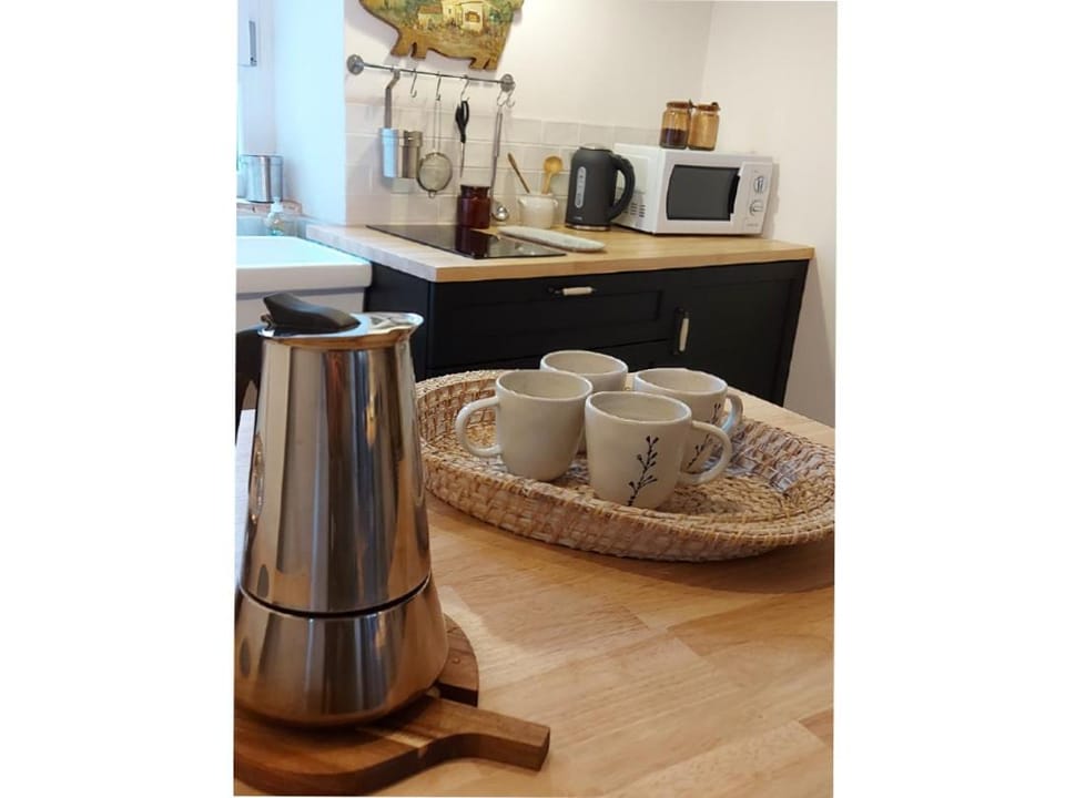 Kitchen or kitchenette, minibar, stove, kitchen