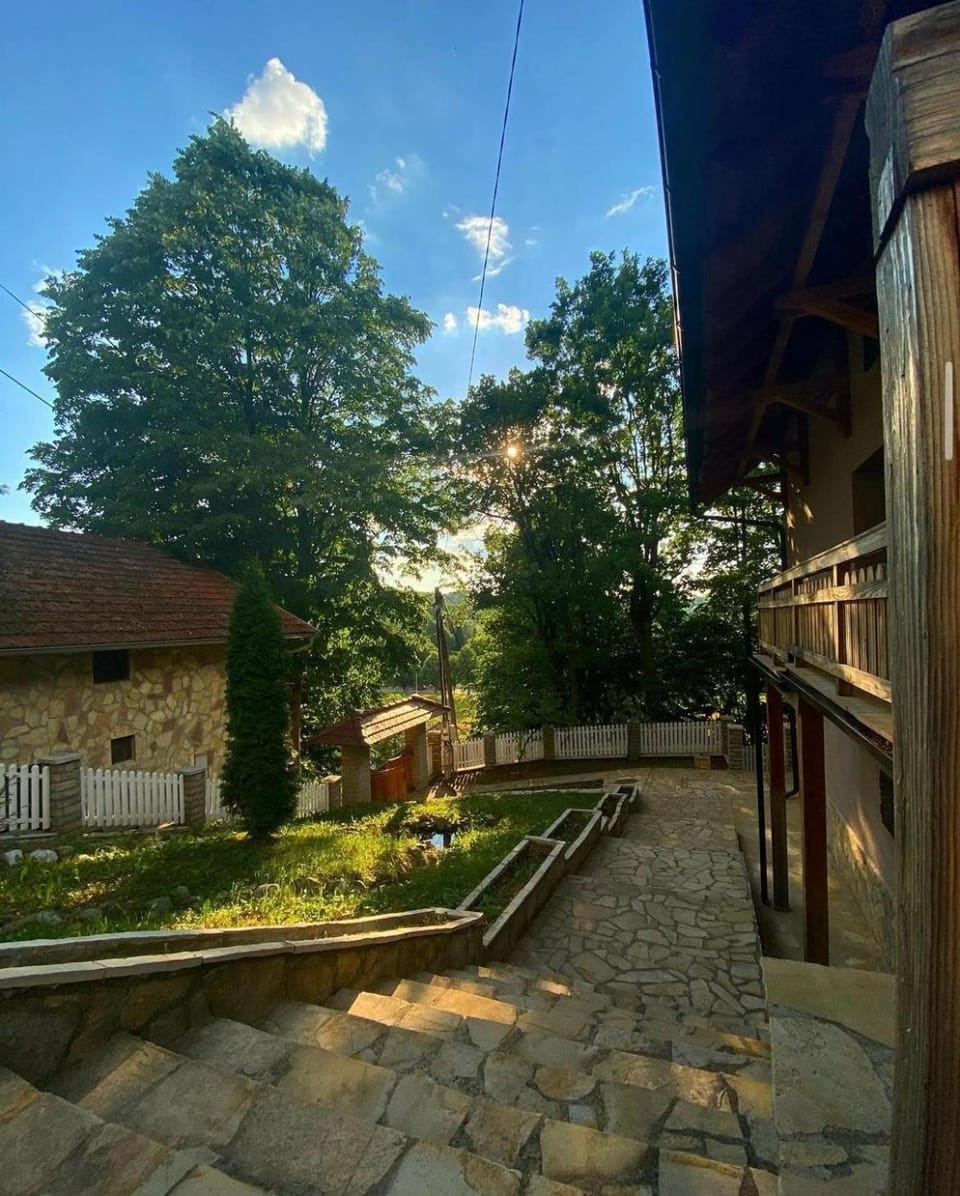 Property building, Garden, Garden view