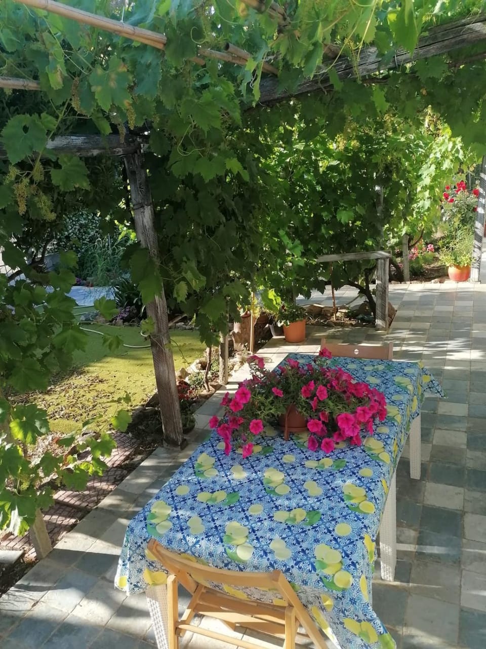 Garden view