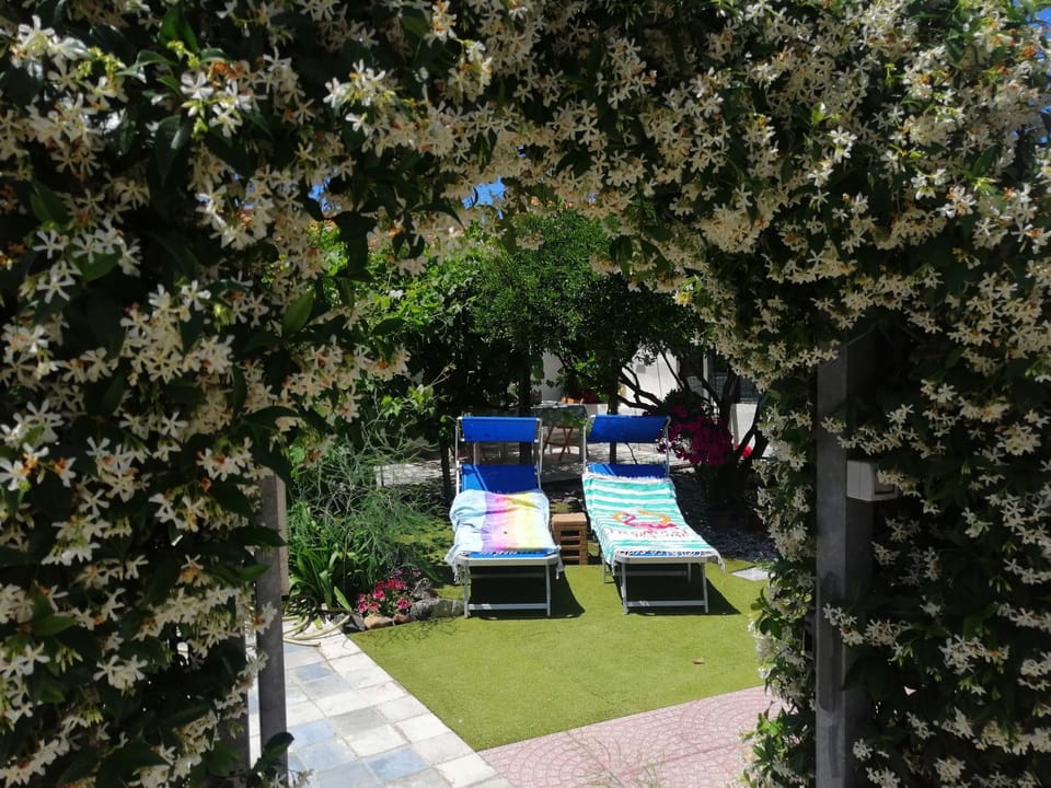 Garden, Inner courtyard view