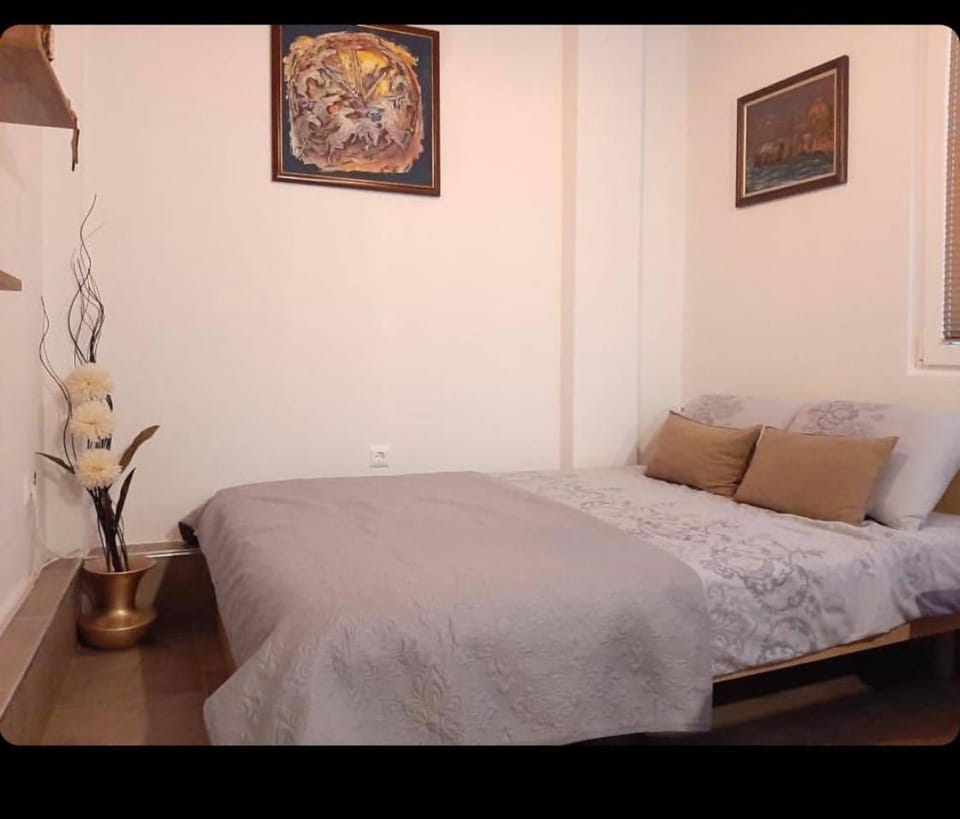 DS center apartment Apartment in Ohrid