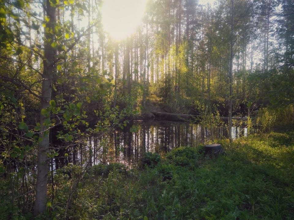 Natural landscape, Garden