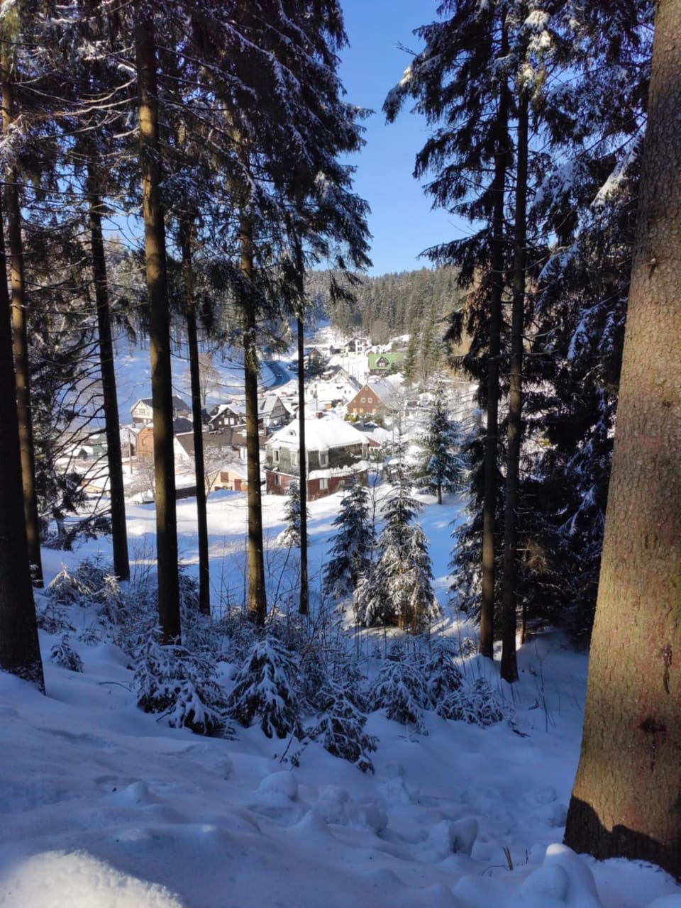 Natural landscape, Winter, Hiking