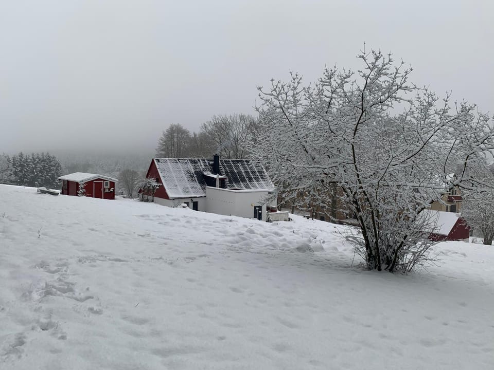 Property building, Winter