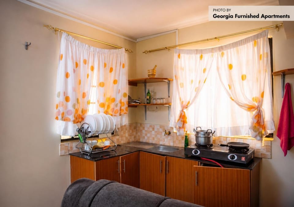 Kitchen or kitchenette, kitchen, kitchen