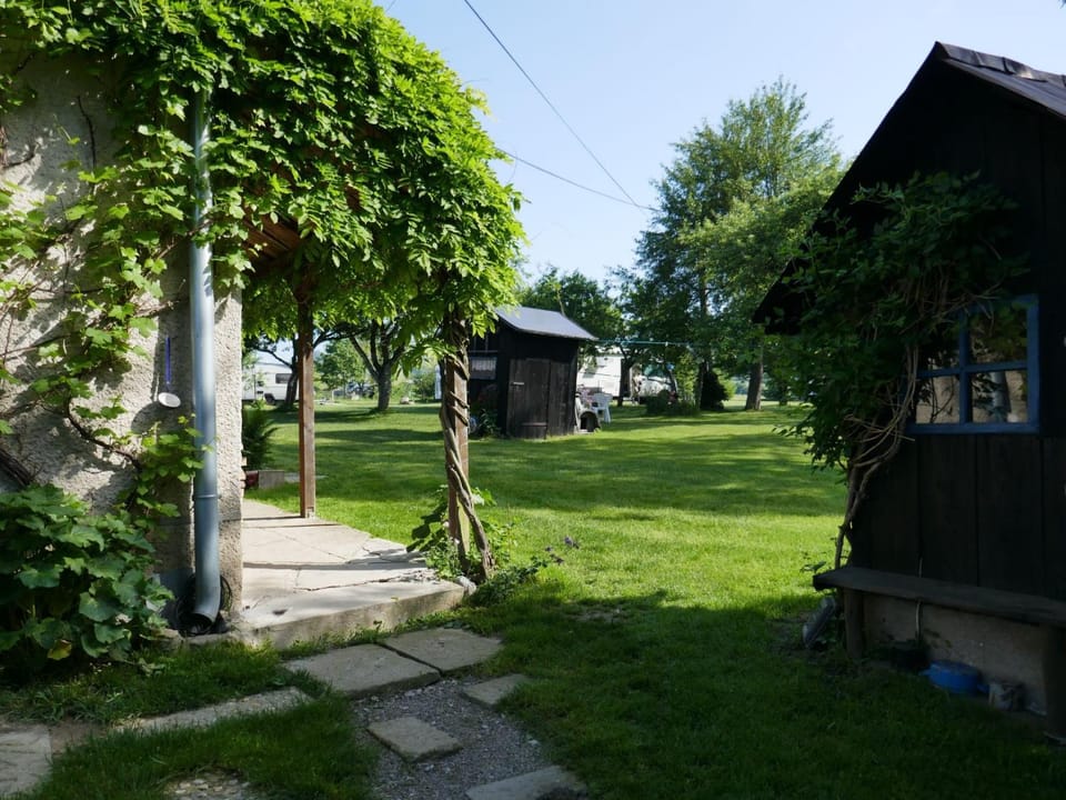 Facade/entrance, Garden, Decorative detail, Garden view