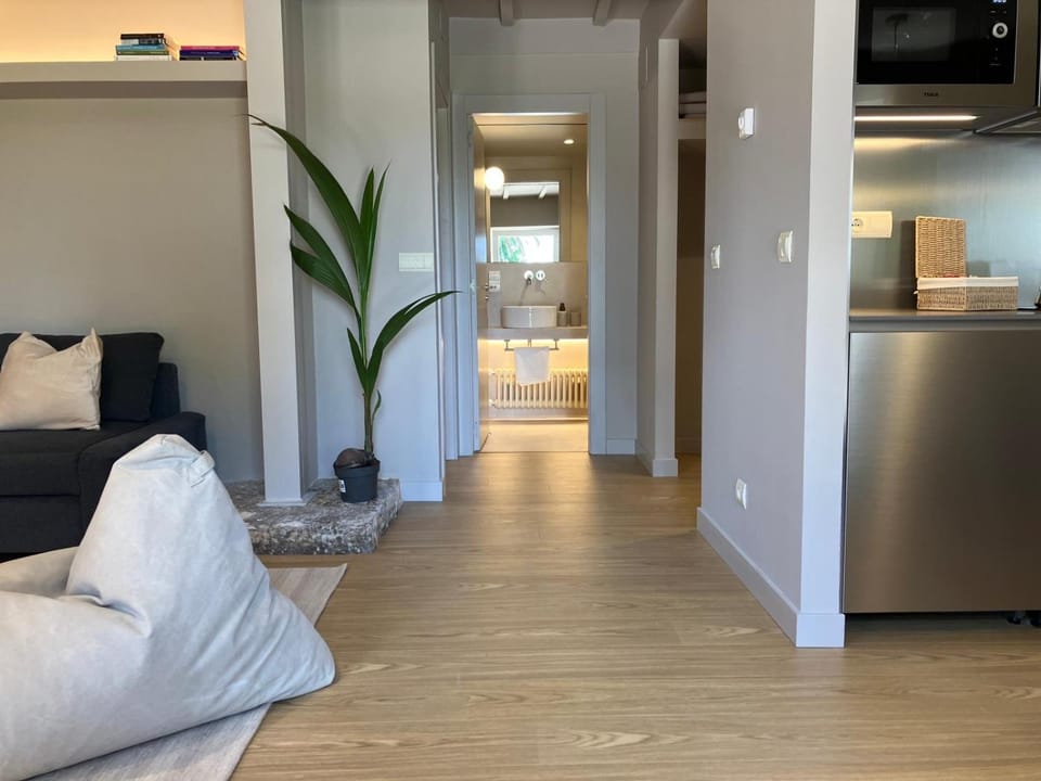 Alojamiento extrahotelero céntrico con jardín en Santander Apartment in Santander