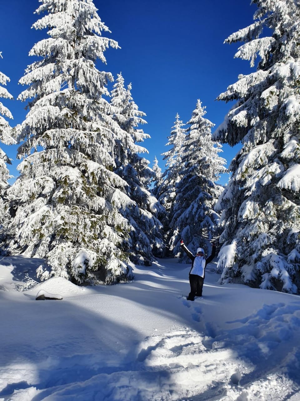 Winter