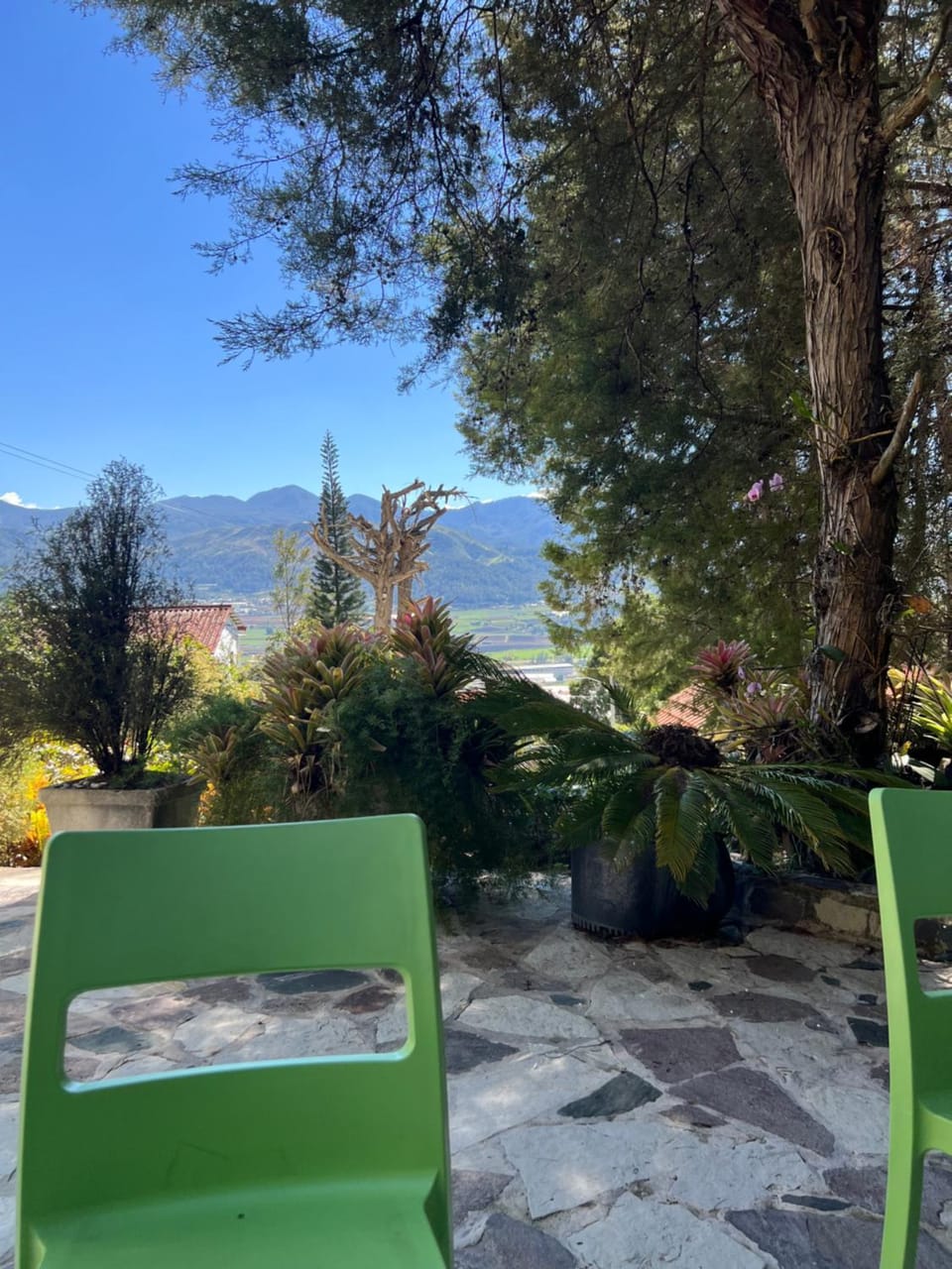 Villa Paloma/ Home/ Office-Remote Office Villa in Constanza