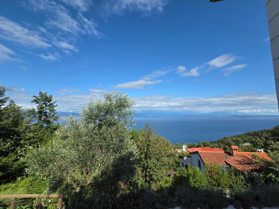 Grosse Apartments mit Meerblick und Pool und Jacuzzi Apartment in Primorje-Gorski Kotar County