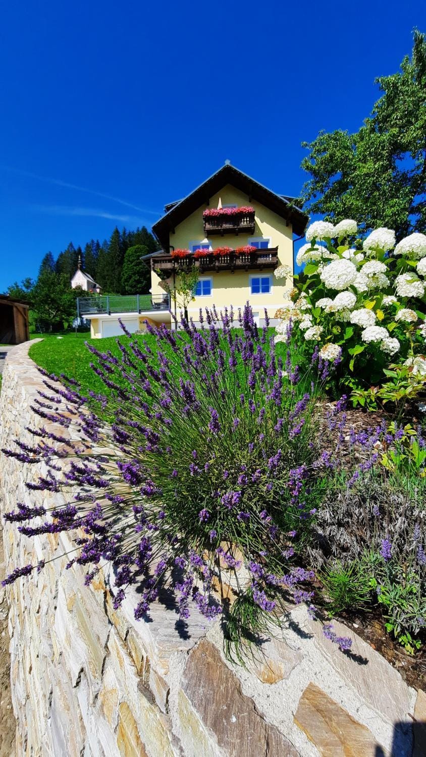 Property building, Garden