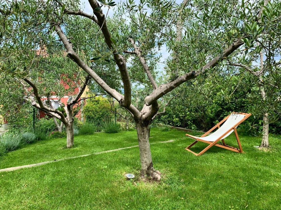 Garden, Garden view