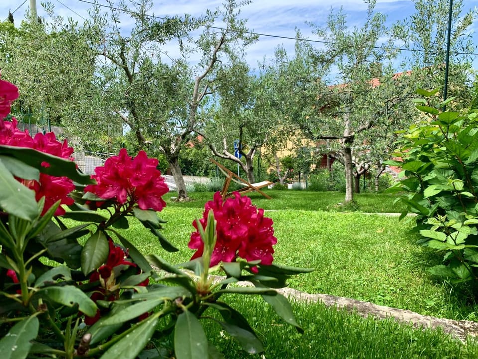 Garden, Garden view