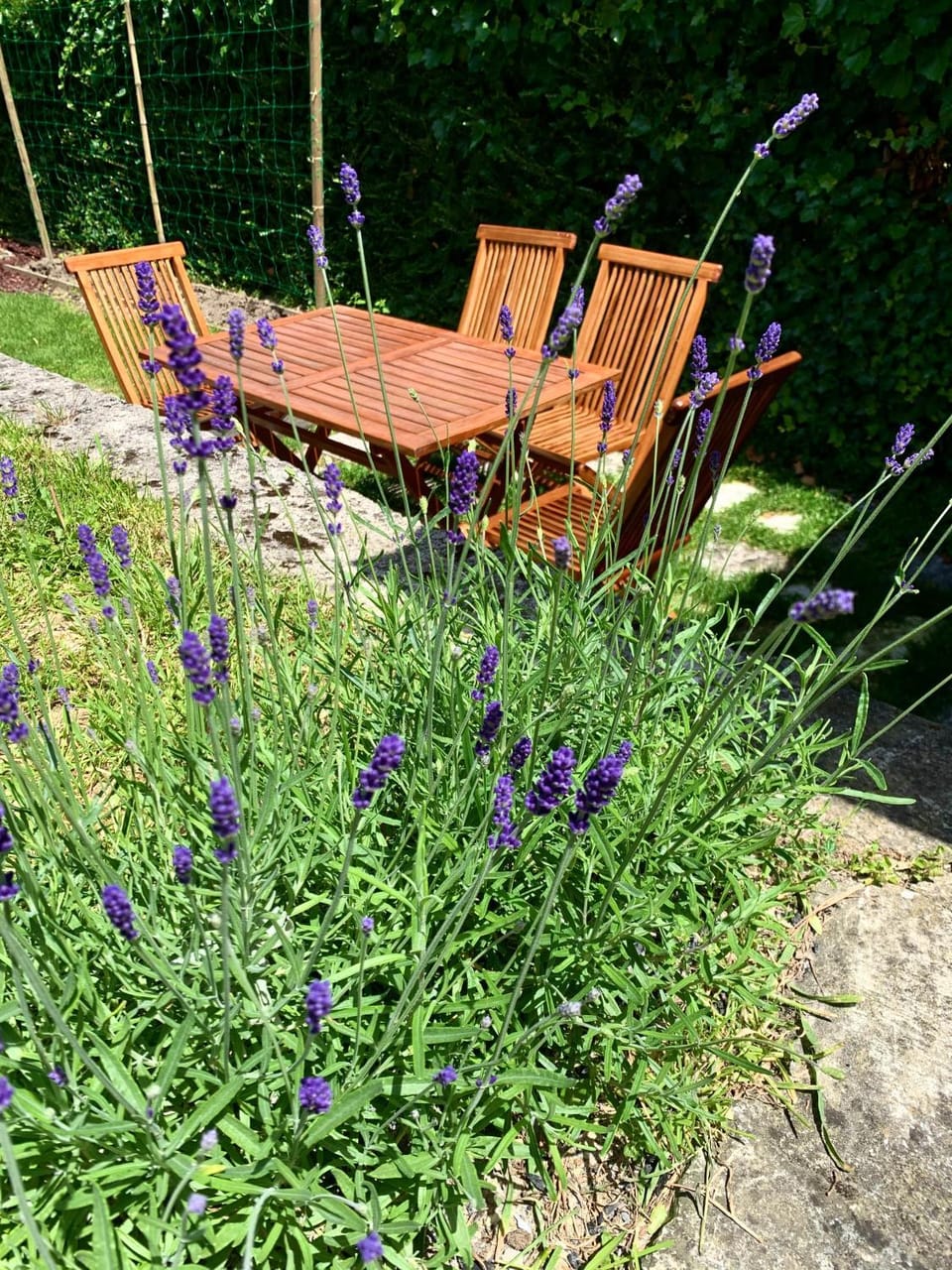 Garden, Garden view
