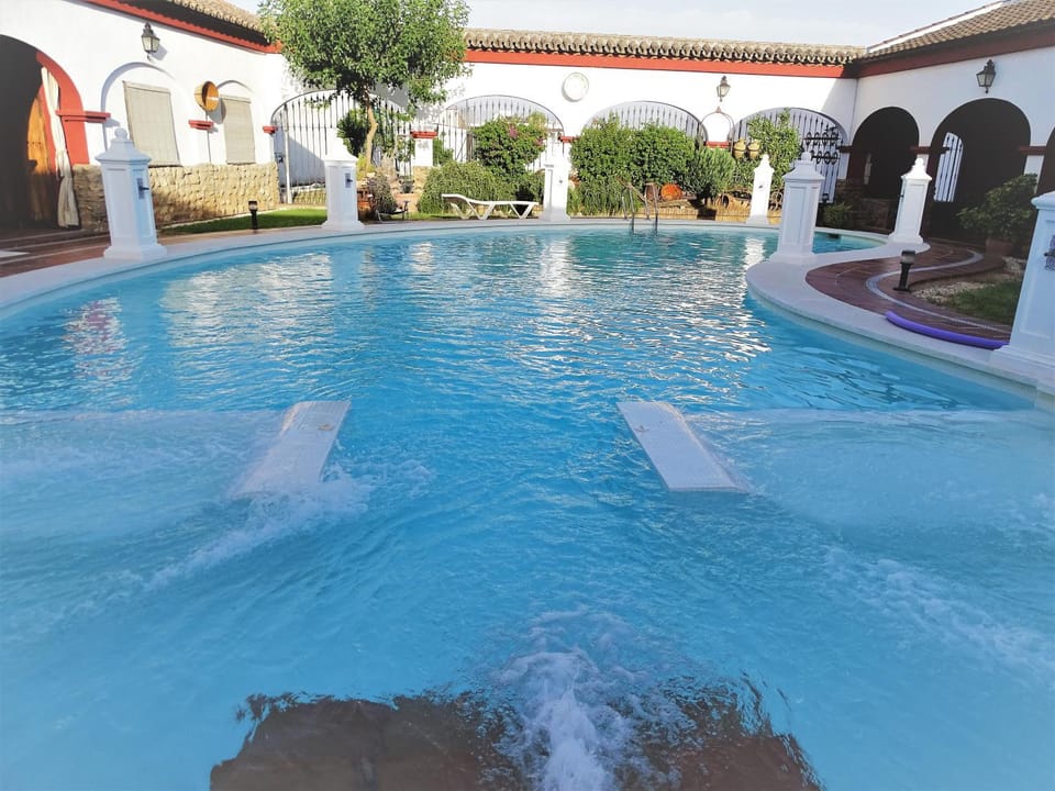 Garden, Pool view, Swimming pool