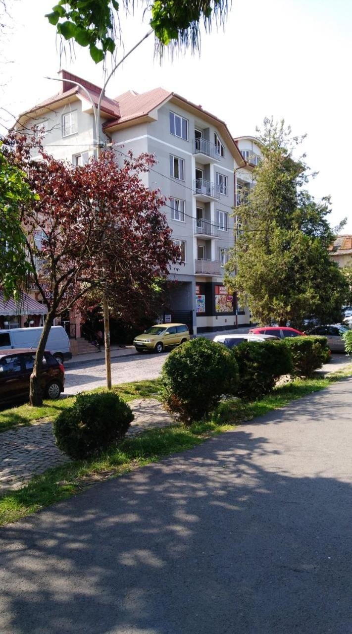 Apartments Domovik квартира с видом на гори Парканія 21 Apartment in Hungary