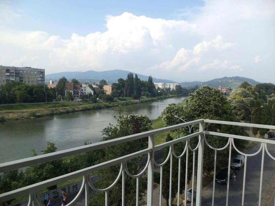 Apartments Domovik квартира с видом на гори Парканія 21 Apartment in Hungary
